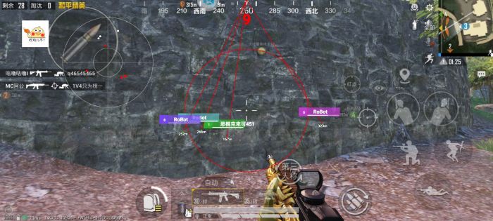 和平精英火焰鸟下载免费 - 热门直装辅助再次来袭